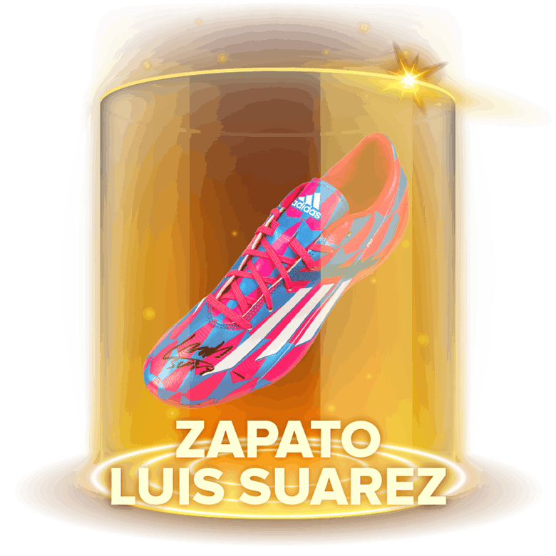 Zapato de Suarez